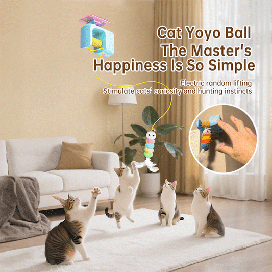🐱New Electric Cat Toy To Entertain Yourself And Relieve Boredom