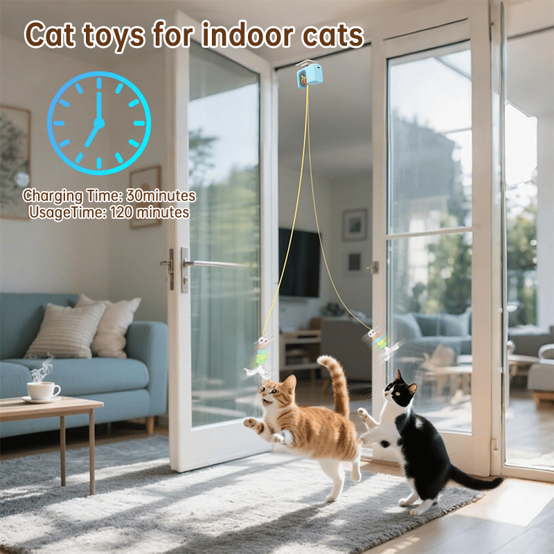 🐱New Electric Cat Toy To Entertain Yourself And Relieve Boredom