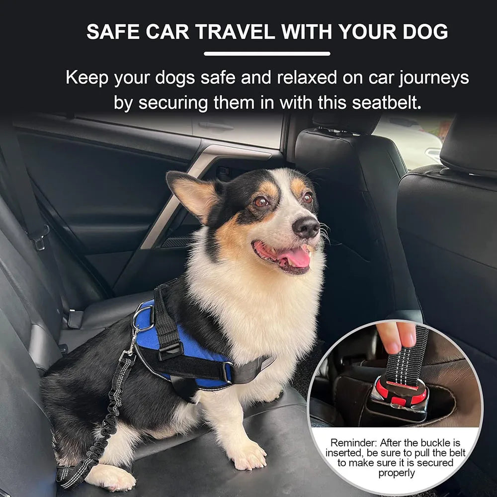 🔥2025 New Arrival 🔥Dog Car Seat Belt Dog Leash